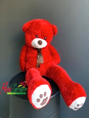 Kırmızı Pelüş Ayıcık