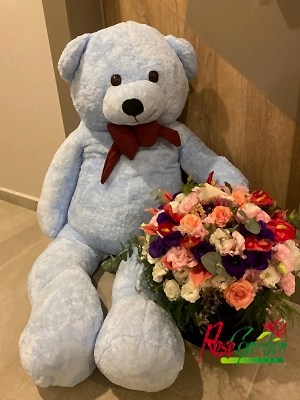 Ayıcık & Kutuda Renkli Aranjman