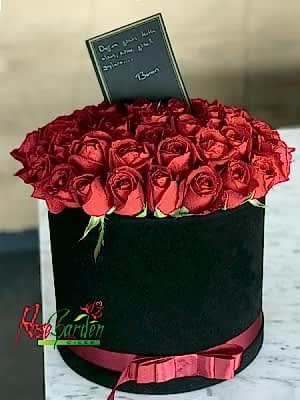 Kırmızı Güllerin Güzelliği