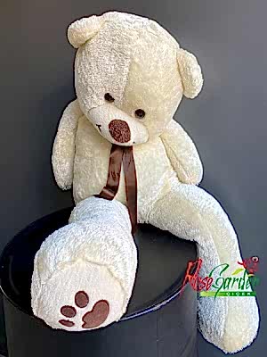 Ankara Peluş Ayıcık