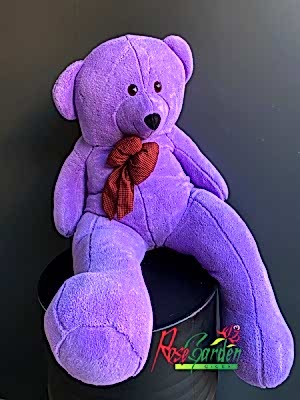 Ayıcık Mor Peluş