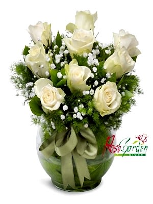 Fanusta Beyaz Güller