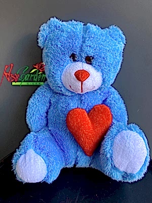 Mavi Kalpli Ayıcık