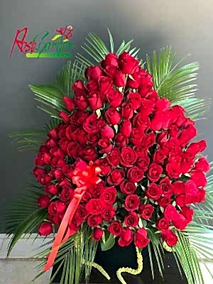 Kucak Dolusu İthal Kırmızı Gül Aranjmanı