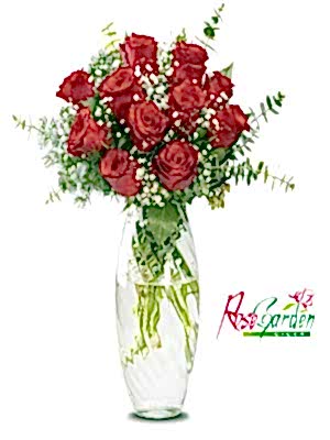 Vazoda Kırmızı Güller