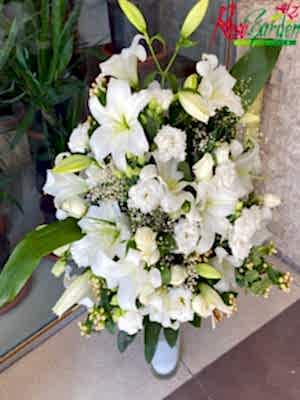 Beyazın Şıklığı