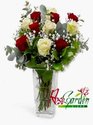 Kırmızı & Beyaz Güller