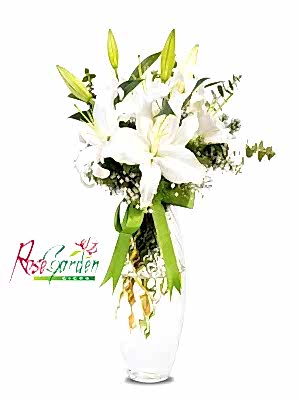 Vazoda Kokulu Kazablanka 